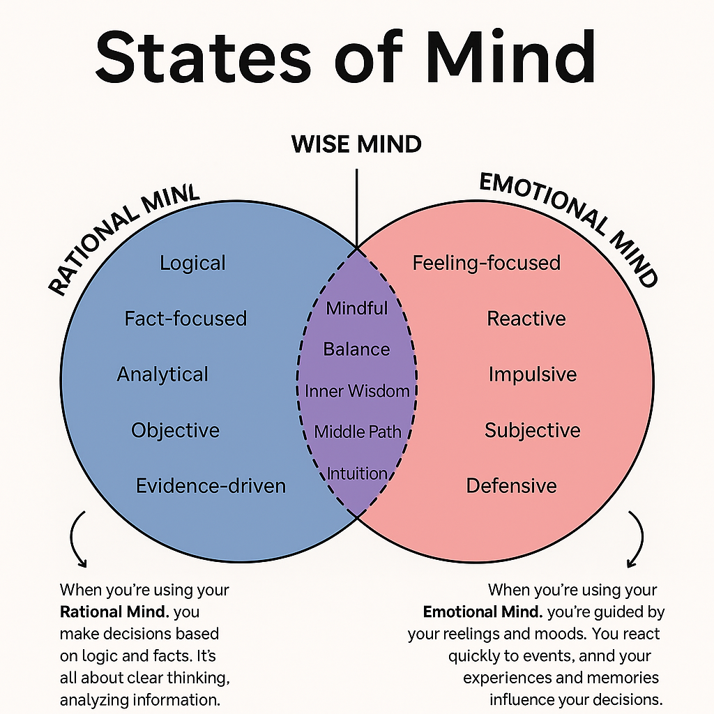 About the Different States of Mind: Understanding Rational, Emotional, and Wise Mind