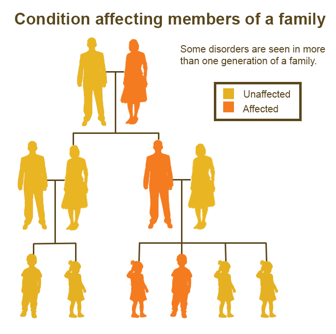 Is ADHD Genetic!?!