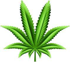 Understanding Cannabis | Uses, Effects, and Impact on Relationships