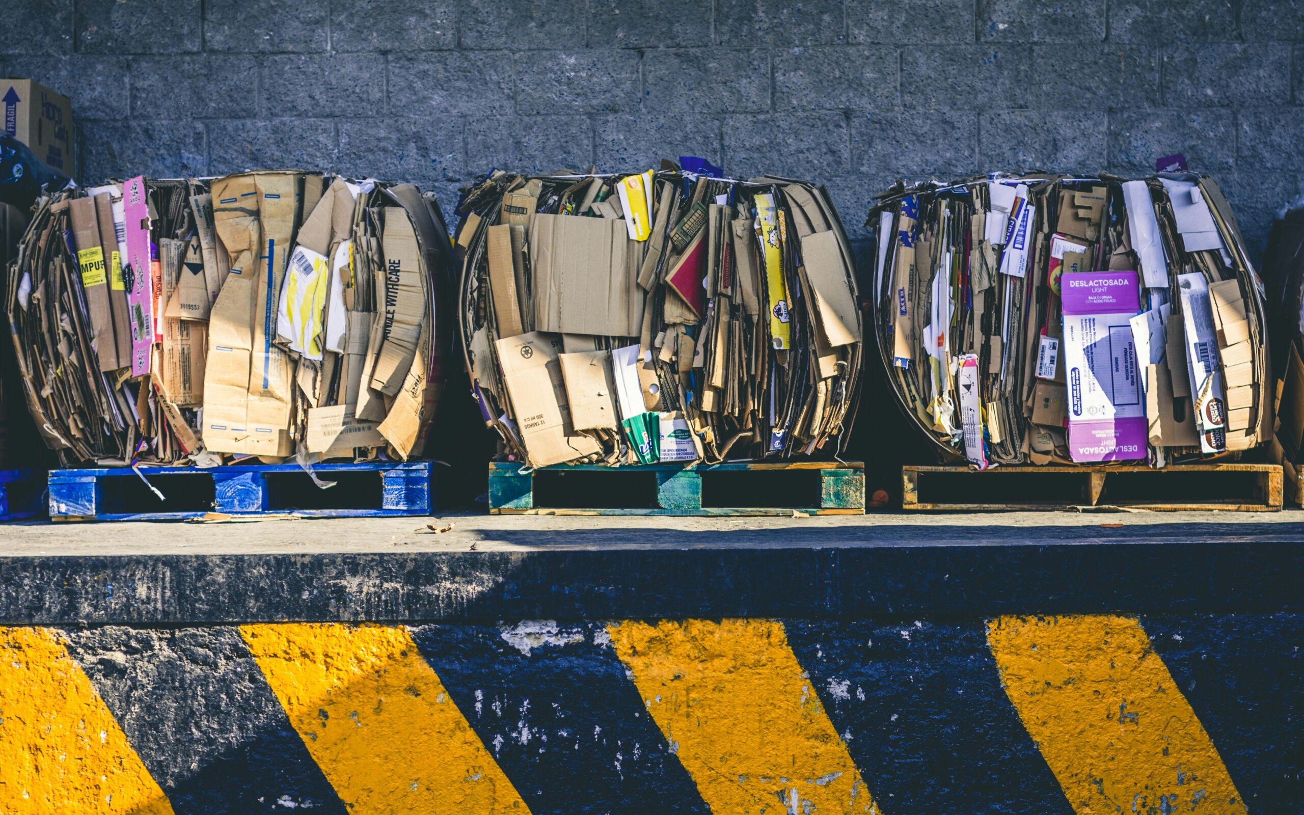 What OCD, Body Dysmorphic Disorder, and Hoarding Disorder Have in Common: A Comprehensive Guide